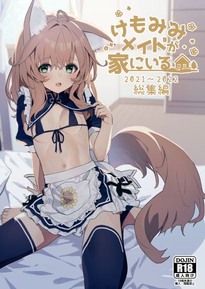 Portada del manga Kemomimi Meido ga Ie ni iru en español