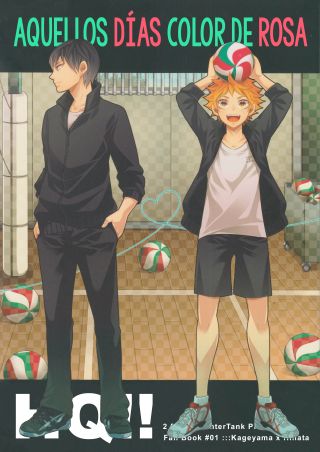 Ah, those rose-colored days - Haikyuu!! dj