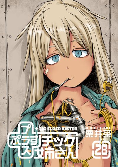 Portada del manga Plastic Neesan en español