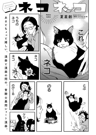 Portada del manga Neko Neko en español
