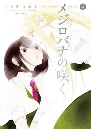 A White Rose in Bloom
