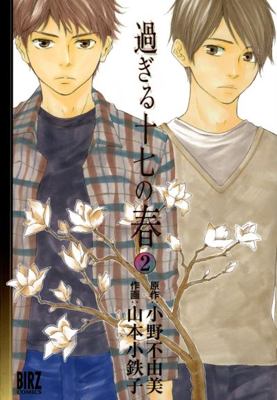 Portada del manga My 17th Spring en español