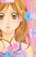 Portada del manga Kimi ni Moete Ii Desu ka en español
