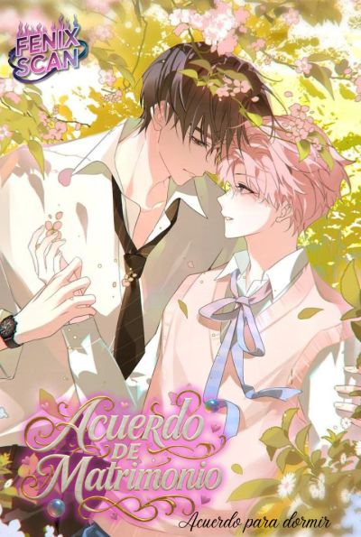 Portada del manga Acuerdo De Matrimonio en español