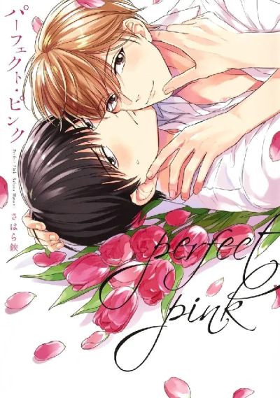 Portada del manga Perfect Pink en español