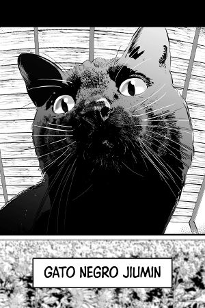 Gato negro Jiumin