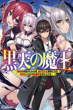 Portada del manga Girlfriend manual en español