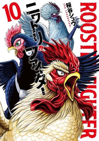 Rooster Fighter