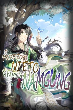 El Prodigioso Nieto de la Familia Namgung