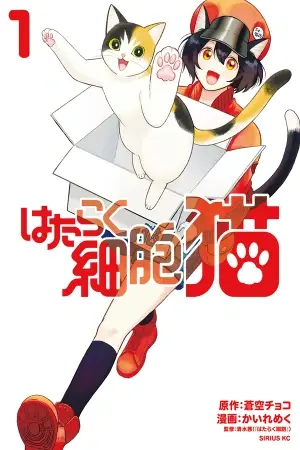 Portada del manga Hataraku Saibou Neko en español