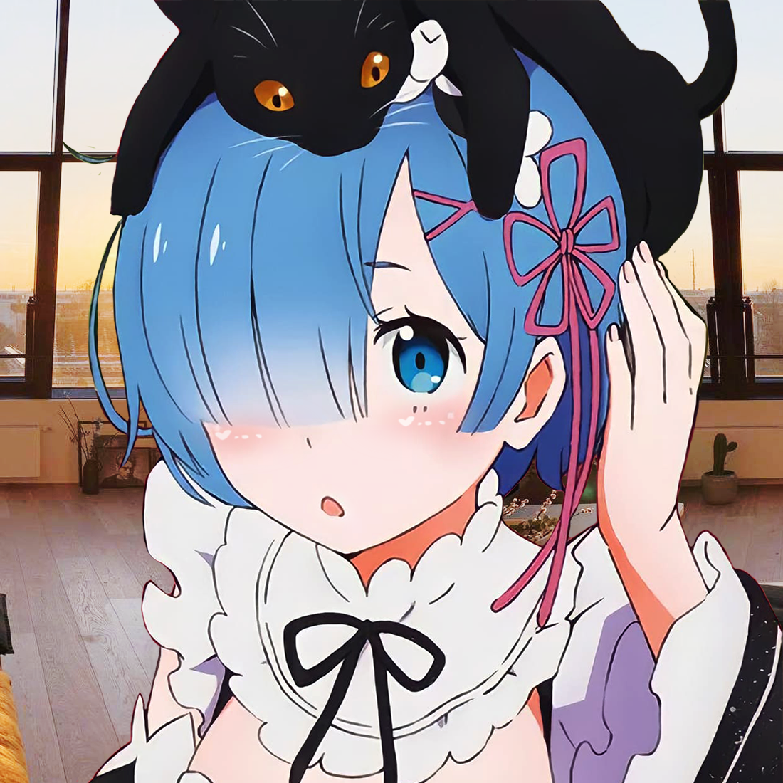 Ram Scans